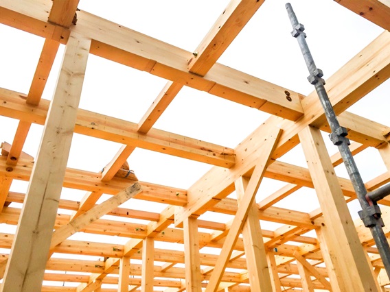 �����������������C���[�W