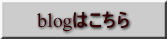 blog�͂�����